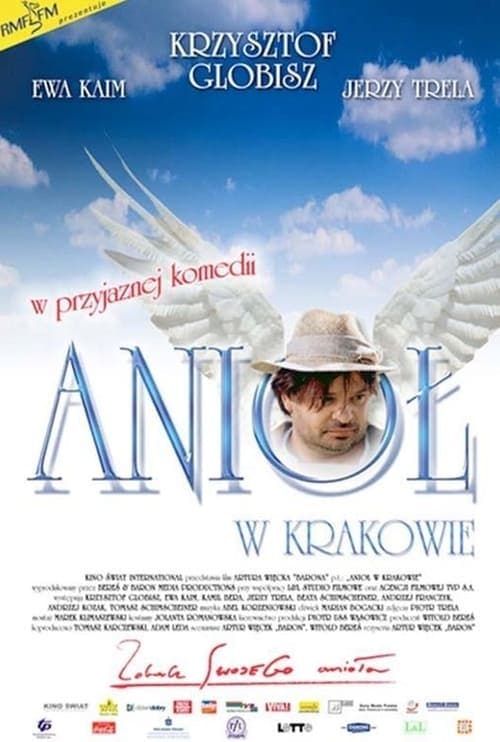 Anioł w Krakowie Vider