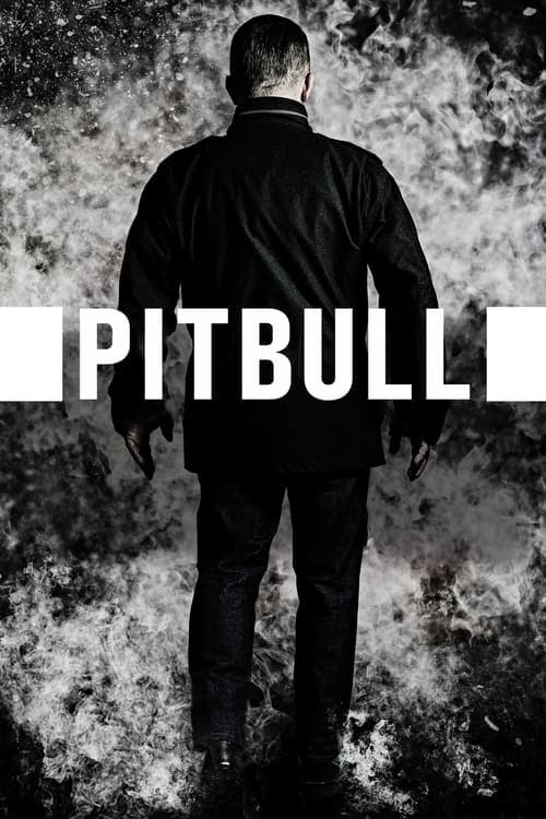 Pitbull Vider