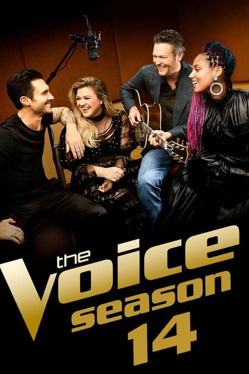 The Voice Vider