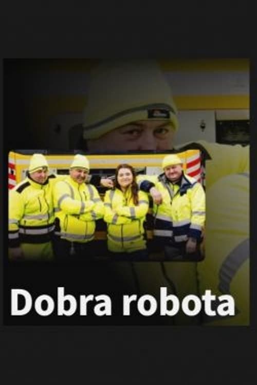 Dobra Robota 2022 [PL] Vider HDRip