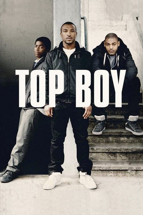 Top Boy 2011 [PL] Vider HDRip