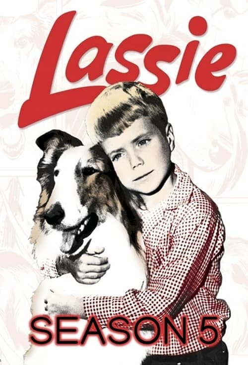 Lassie Vider