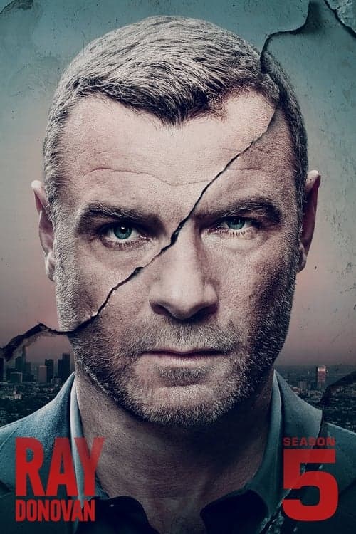 Ray Donovan Vider