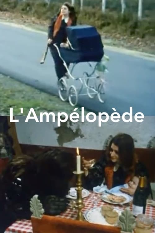 L'Ampélopède Vider