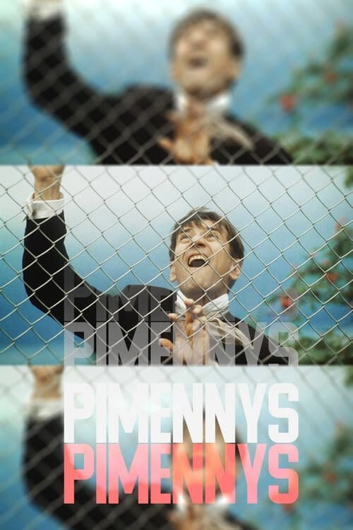 Pimennys 1993 [PL] Vider HDRip