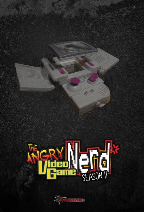 The Angry Video Game Nerd Vider