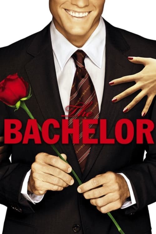 The Bachelor Vider