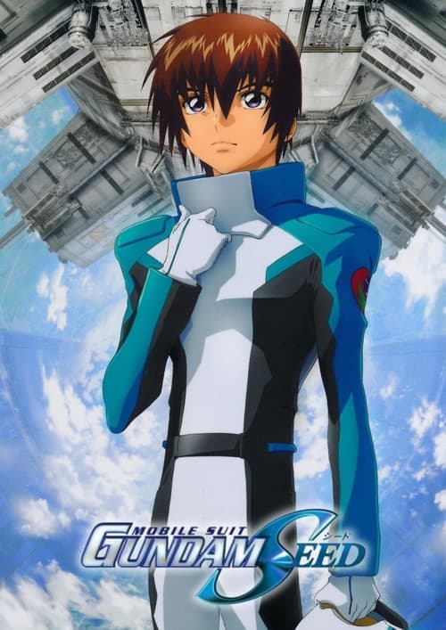 Mobile Suit Gundam SEED Vider