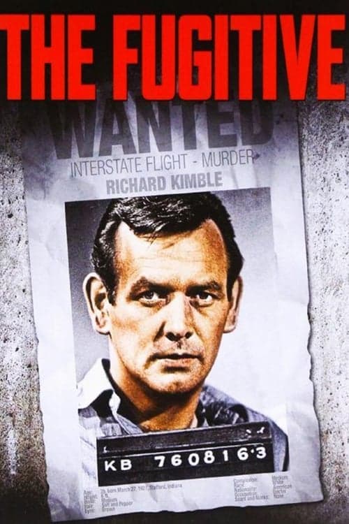 The Fugitive Vider