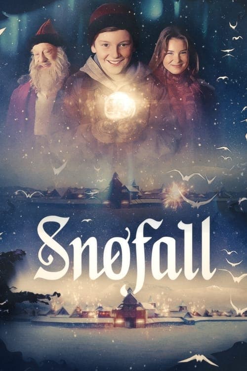 Snøfall Vider