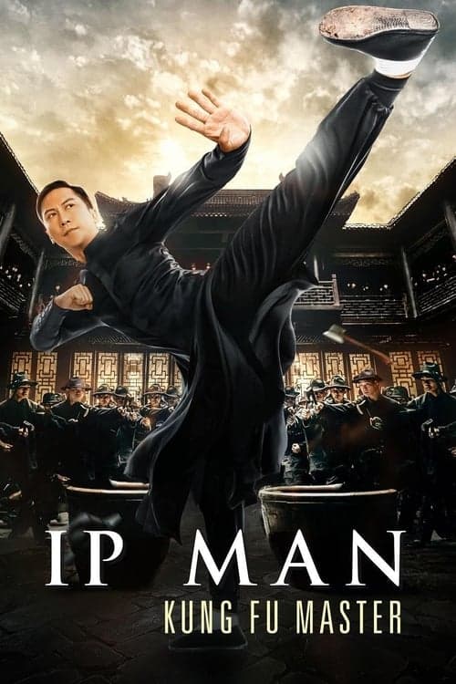 Ip Man Kung Fu Master Vider