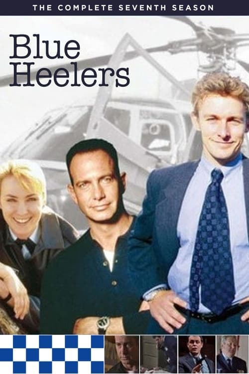 Blue Heelers Vider