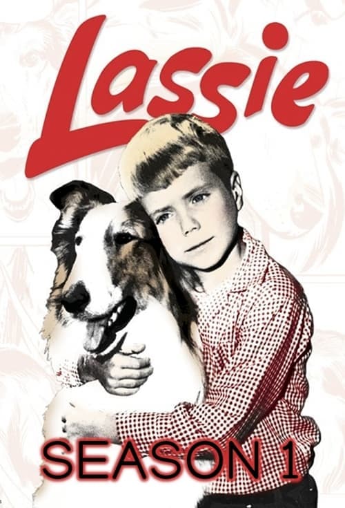 Lassie Vider