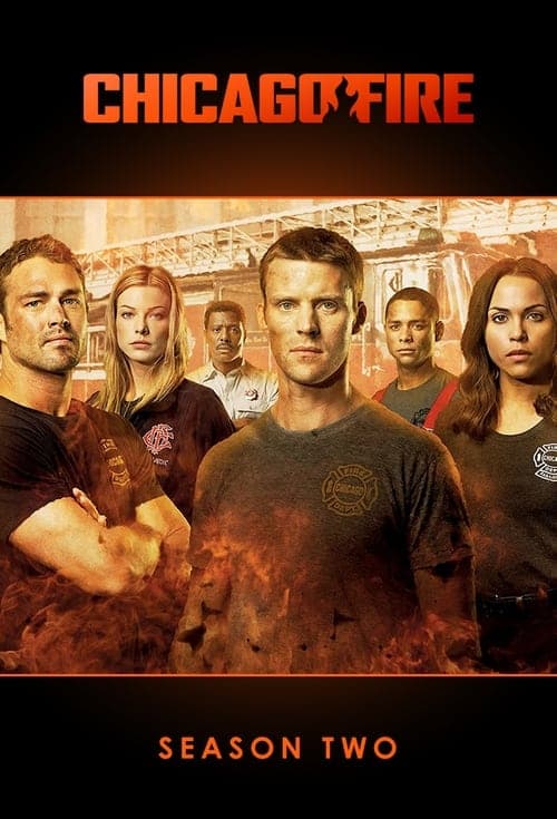 Chicago Fire Vider