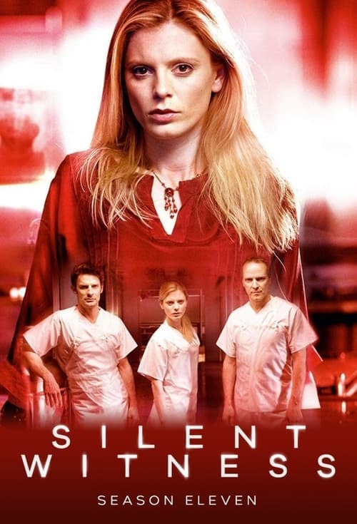 Silent Witness Vider