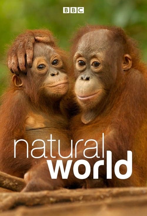 Natural World 1983 [PL] Vider HDRip