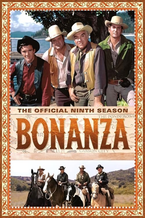 Bonanza Vider