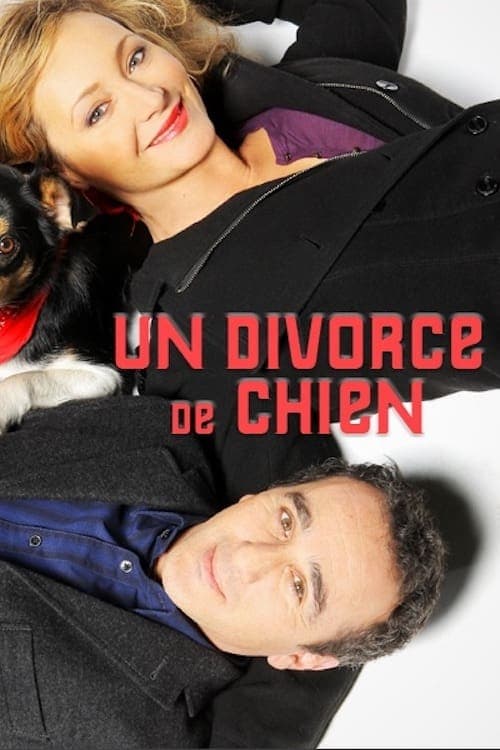 Un divorce de chien Vider