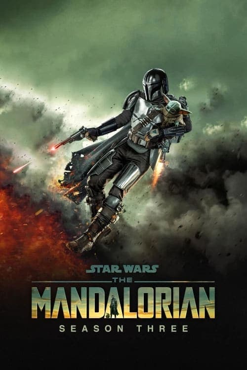 The Mandalorian Vider