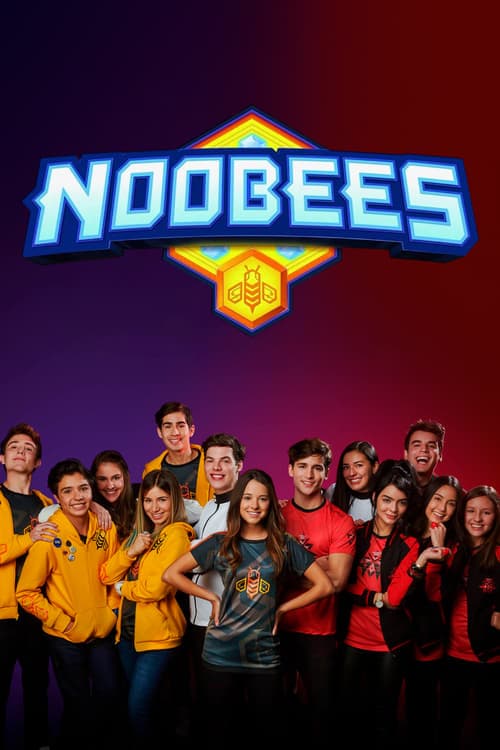 NooBees Vider