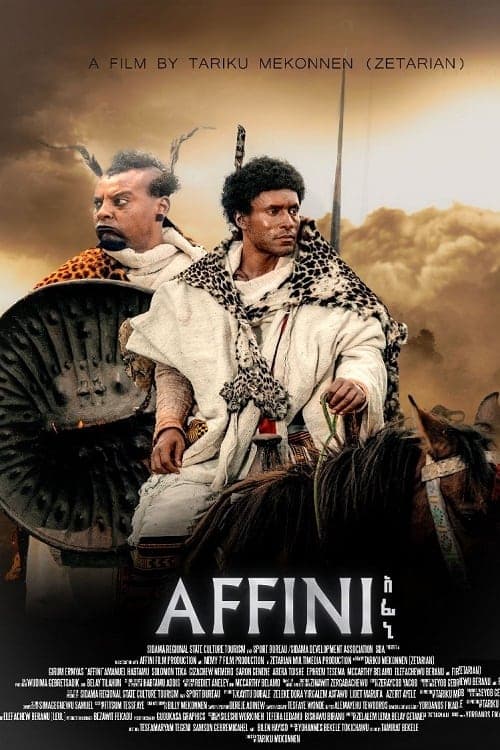 AFFINI Vider