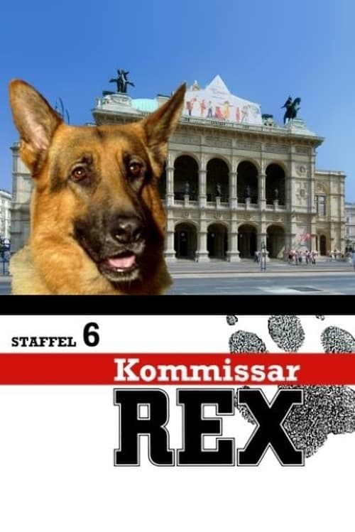 Komisarz Rex Vider