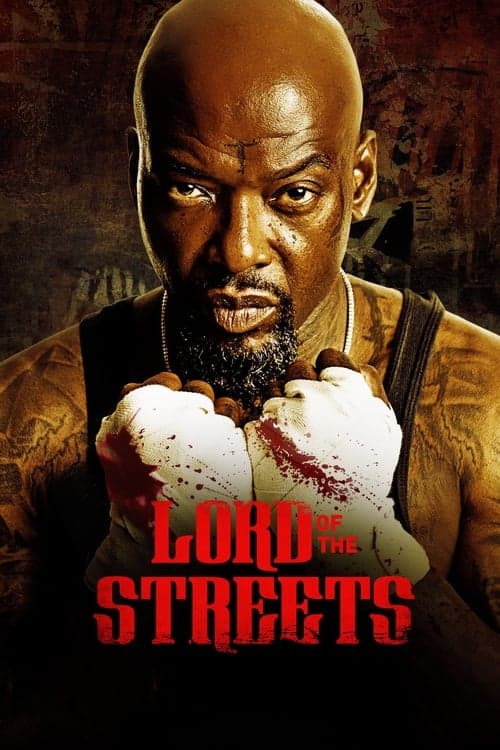 Lord of the Streets Vider