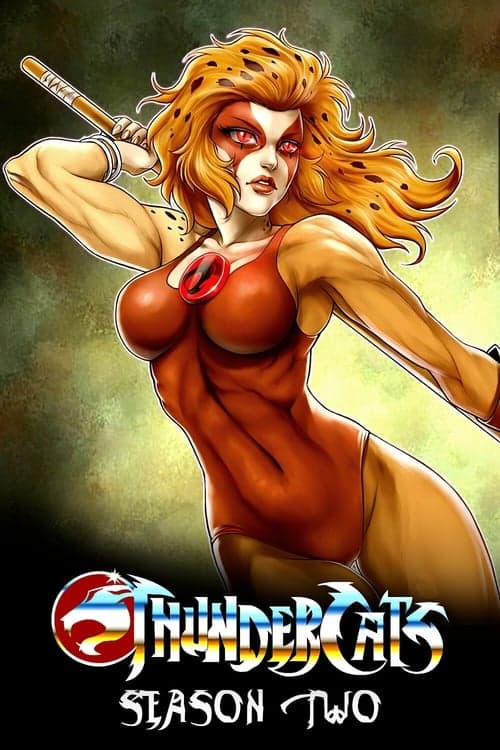 ThunderCats Vider