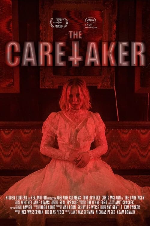 The Caretaker Vider