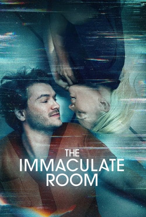 The Immaculate Room Vider