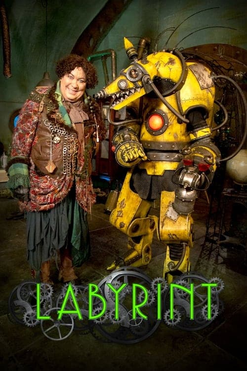 Labyrint 2012 [PL] Vider HDRip