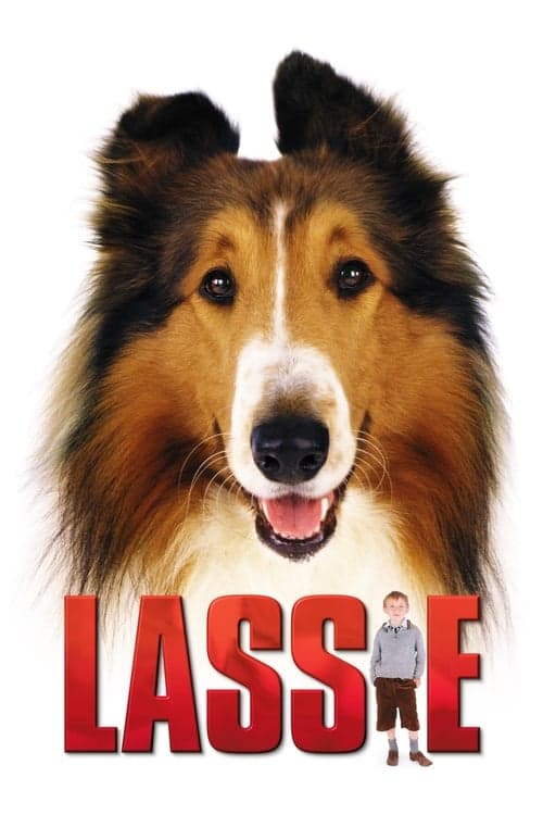 Lassie Vider