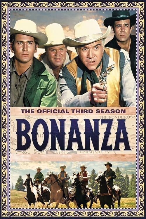 Bonanza Vider