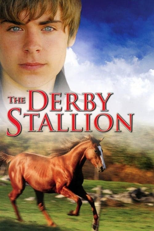 The Derby Stallion Vider