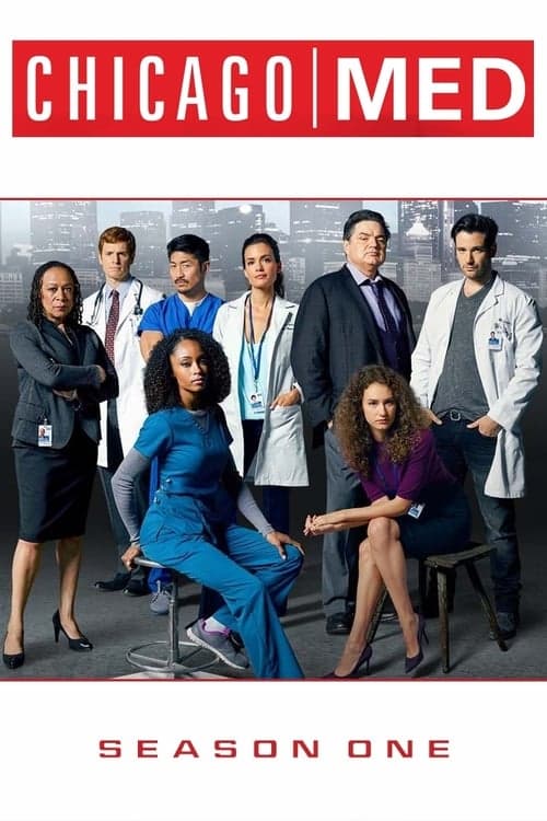 Chicago Med Vider