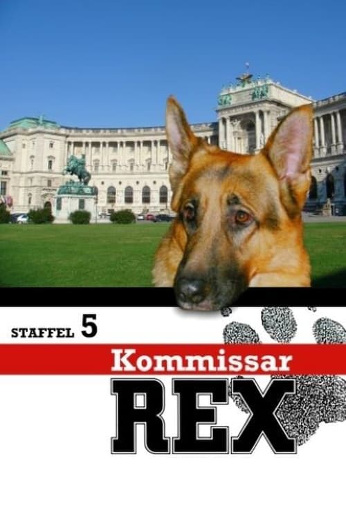 Komisarz Rex Vider