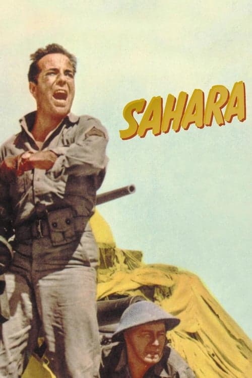 Sahara Vider