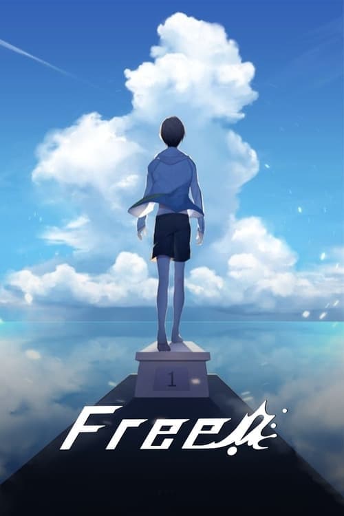 Free! 2013 [PL] Vider HDRip