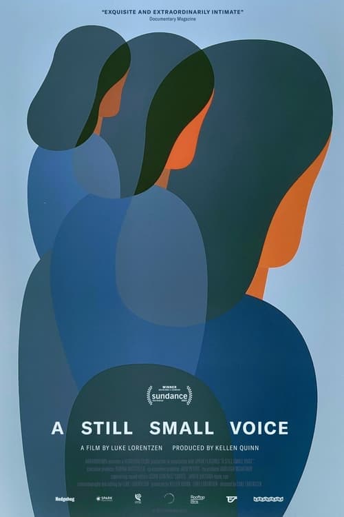 A Still Small Voice Vider