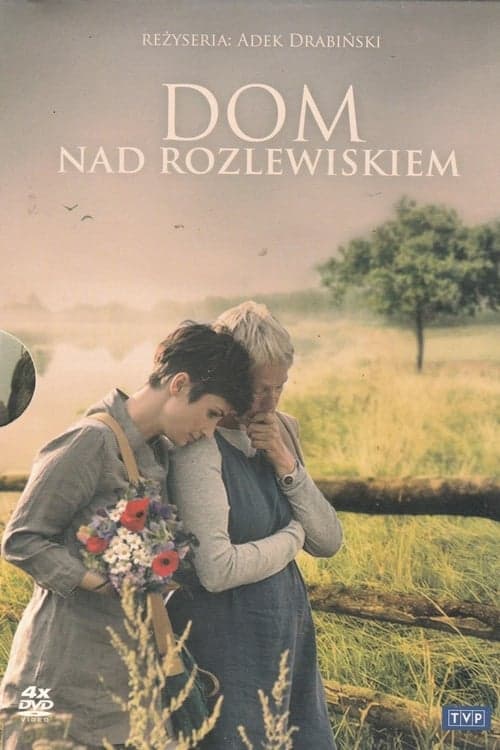 Dom nad rozlewiskiem 2009 [PL] Vider HDRip