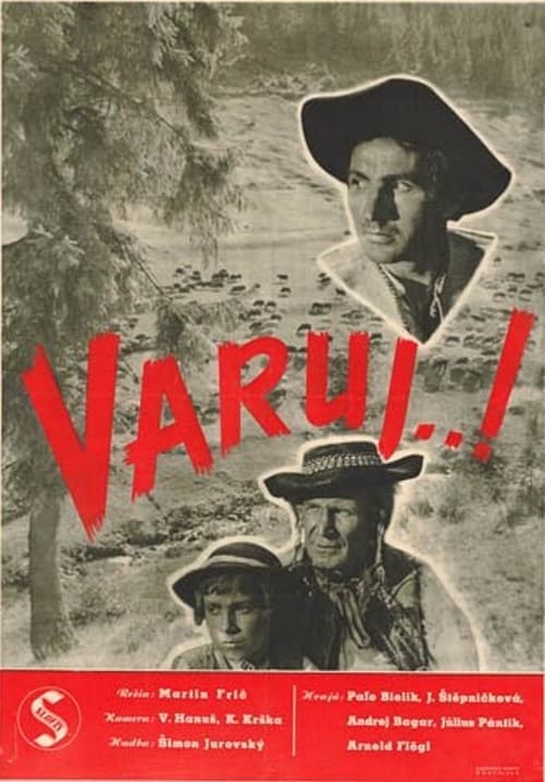 Varuj...! Vider