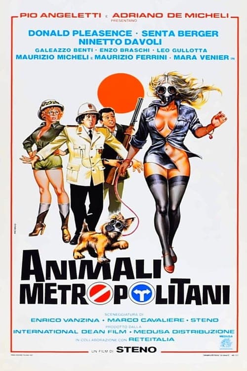 Animali metropolitani Vider