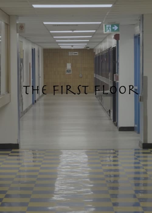 The First Floor Vider