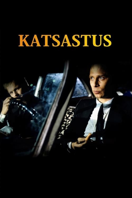 Katsastus Vider