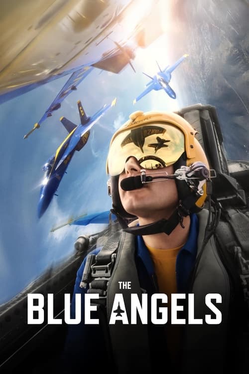 The Blue Angels Vider