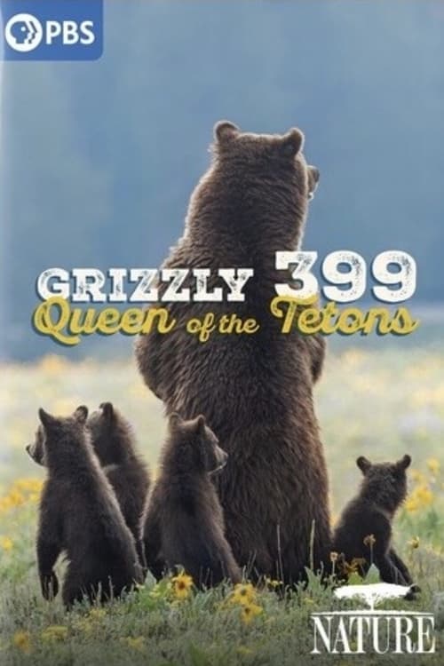 399: Queen of the Tetons Vider