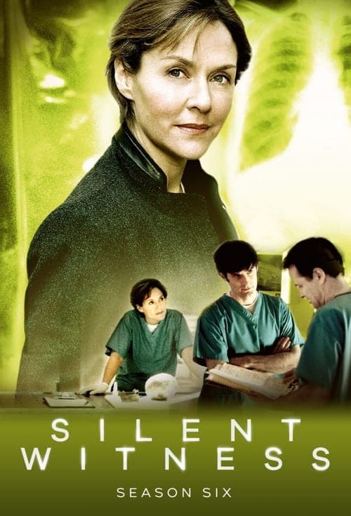 Silent Witness Vider