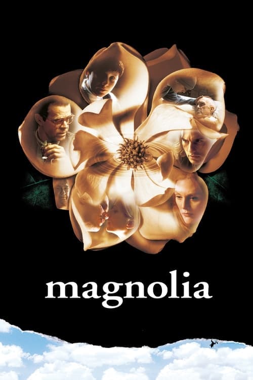 Magnolia Vider