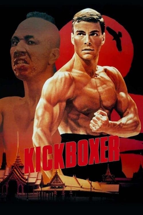 Kickboxer Vider