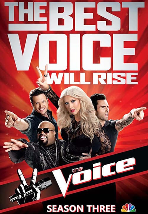 The Voice Vider